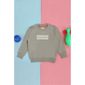 Light grey sweatshirt